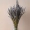 Dried Lavender Bundles Lavender Bunches Dry Lavender Flowers for Home Decor, Crafts, Wedding Bouquets